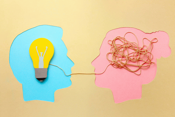 گربه اسفینکس (ابوالهول): ۱۶ نکته درباره موجودی چروکیده و بی‌مو