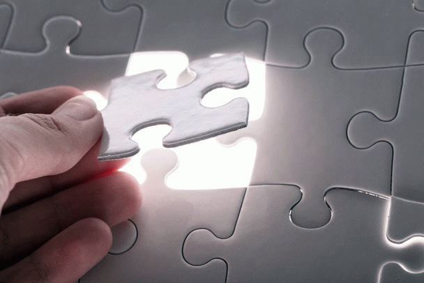 پیشگیری و درمان کک و کنه سگ؛ ۱۶ نکته موثر