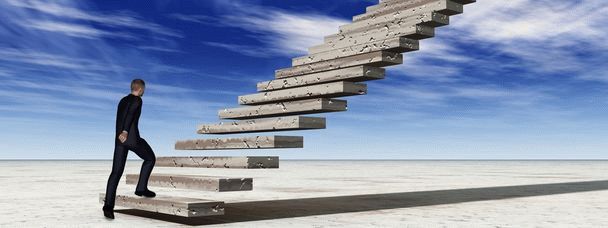 شرایط قانونی نگهداری سگ در آپارتمان؛ ۱۸ نکته مهم و ضروری