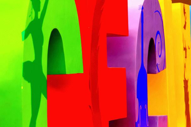 نکات خاص برای تغذیه طوطی با پلت: حتما بخوانید