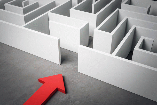 رازهای تغذیه طوطی برزیلی: 18 نکته کلیدی برای سلامتی!