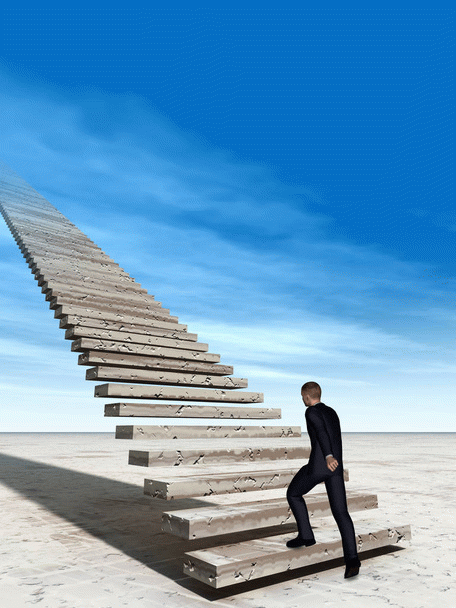 تغذیه سگ شیتزو تریر: ۱۹ نکته مهم