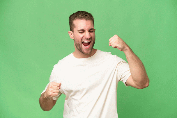 اگر همسترتان را دوست دارید این 15 نکته را ببینید