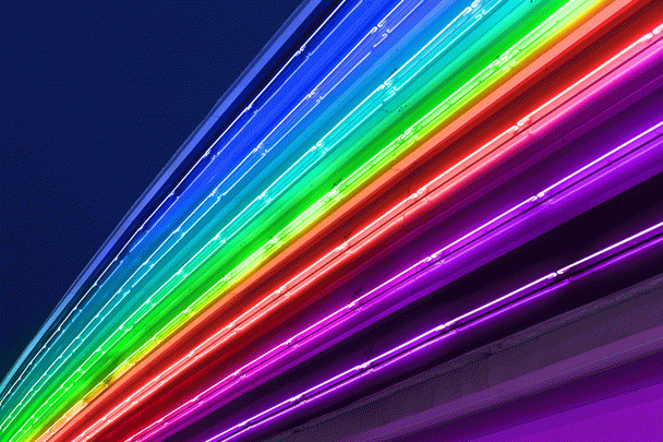 رازهای تغذیه طوطی برزیلی: 19 نکته حیاتی برای سلامتی پرنده!